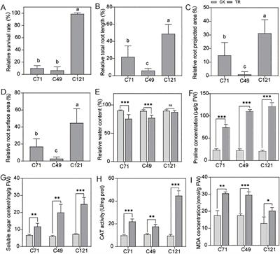 Integrating RNA-seq and population genomics to elucidate salt tolerance mechanisms in flax (Linum usitatissimum L.)